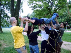 Robinson spiderweb